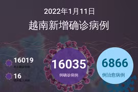 图表新闻：1月11日越南报告新增的确诊病例