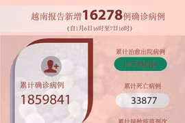 图表新闻：越南报告新增16278例确诊病例 新增死亡病例233例