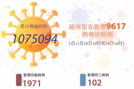 图表新闻：越南报告新增9617例确诊病例 新增死亡病例102例