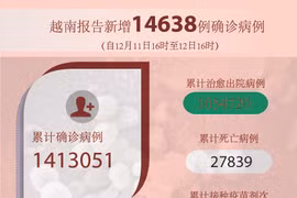 图表新闻：越南报告新增14638例确诊病例 新增死亡病例228例