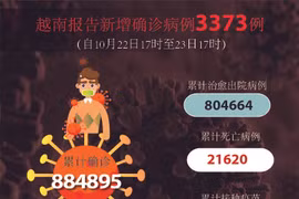 图表新闻：越南报告新增确诊病例3373例 累计治愈出院病例804664例