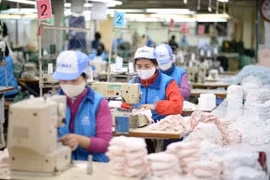 越南努力保护出口商品在欧盟市场的利益