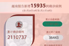 图表新闻：越南报告新增15935例确诊病例 新增死亡病例177例