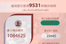 图表新闻：越南报告新增9531例确诊病例 新增死亡病例107例