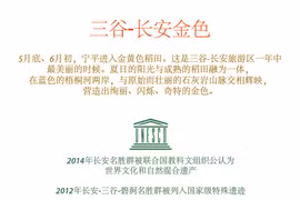 图表新闻：三谷-长安金色