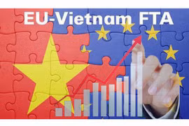 EVFTA协定：助力出口增长