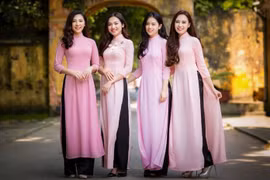 海外越南妇女之美