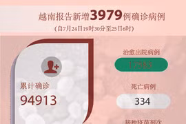 图表新闻：越南报告新增3979例确诊病例