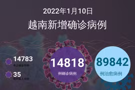 图表新闻：1月10日越南报告新增的确诊病例
