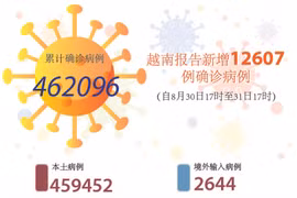 图表新闻：越南报告新增12607例确诊病例 累计死亡病例超1.1万例