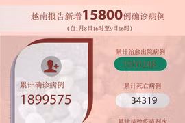 图表新闻：越南报告新增15800例确诊病例 新增死亡病例213例