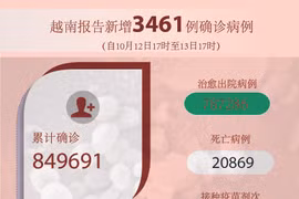 图表新闻：越南报告新增3461例确诊病例 新增死亡病例106例