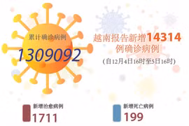 图表新闻：越南报告新增14314例确诊病例 新增死亡病例199例