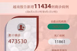 图表新闻：越南报告新增11434例确诊病例 新增死亡病例804例