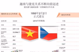 越南与捷克关系不断向前迈进