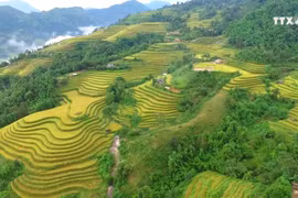 社区旅游——保护少数民族文化的良策
