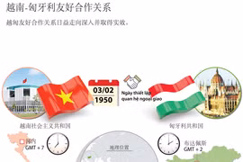 越南-匈牙利友好合作关系