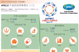 图表新闻：APEC21个成员经济体简介（三）