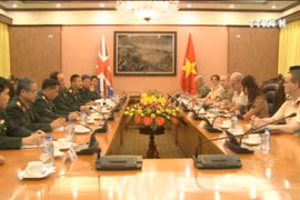 英国皇家军医部队代表团对越南进行访问