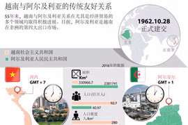 图表新闻：越南与阿尔及利亚的传统友好关系
