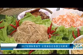 2017国际美食节：让美食拉近各国文化距离