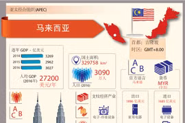 亚太经合组织成员经济体——马来西亚