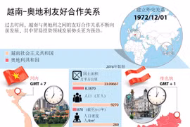 图表新闻：越南-奥地利友好合作关系 