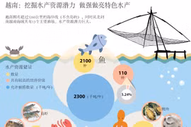 越南：挖掘水产资源潜力做强做亮特色水产