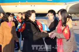 瑞典议会和外交部领导代表同越南驻瑞典特命全权大使段氏芳容等到机场迎接。（图片来源：越通社）