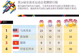 第29届东南亚运动会奖牌排行榜