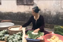 来到河内乡村亲自体验越南人过传统春节的美俗