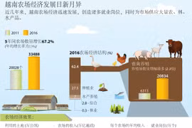 越南农场经济发展日新月异