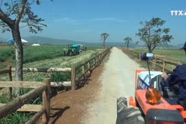 越南首家达到欧洲标准的有机奶牛养殖场正式落成