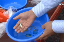 越中两国举办北部湾渔业资源联合养殖放流与养护活动