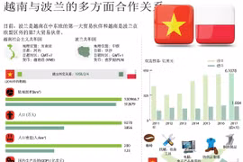 图表新闻：越南与波兰的多方面合作关系