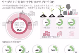 中小型企业在越南经济中扮演着举足轻重角色