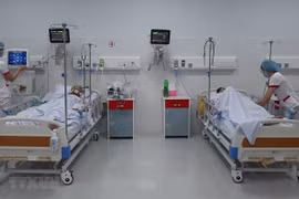 为出国治疗的病患者办理护照提供支持