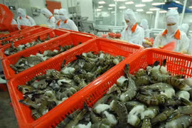 出口美国的31个越南虾类企业享受零关税待遇