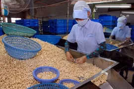 腰果仁