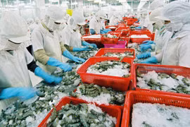 今年越南虾类产品出口额可下降4.4%