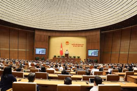 越南第十四届国会第八次会议：充分挖掘少数民族地区和山区的潜力与优势
