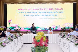 越南国会主席阮氏金银莅临同塔省调研
