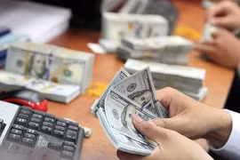 8月1日越盾对美元汇率中间价上涨6越盾