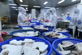 英国专家高度评价越南的国际一体化和投资机遇