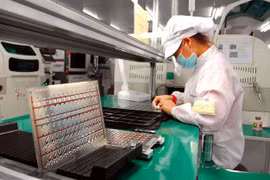 首都河内经济呈现增长势头