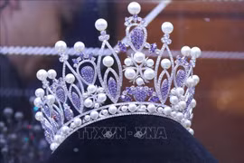 45名佳丽进入2019环球小姐越南区大赛决赛