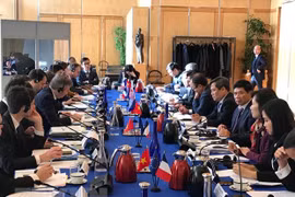 第六次越法高级经济对话会在法国召开