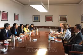 越南妇女联合会代表团对德国进行访问