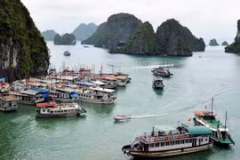外国旅游专网赞扬越南无穷魅力