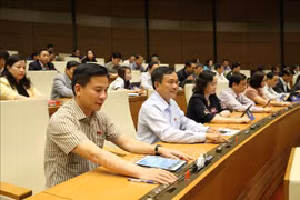 越南第十四届国会第八次会议：通过关于2020年国家财政预算的决议